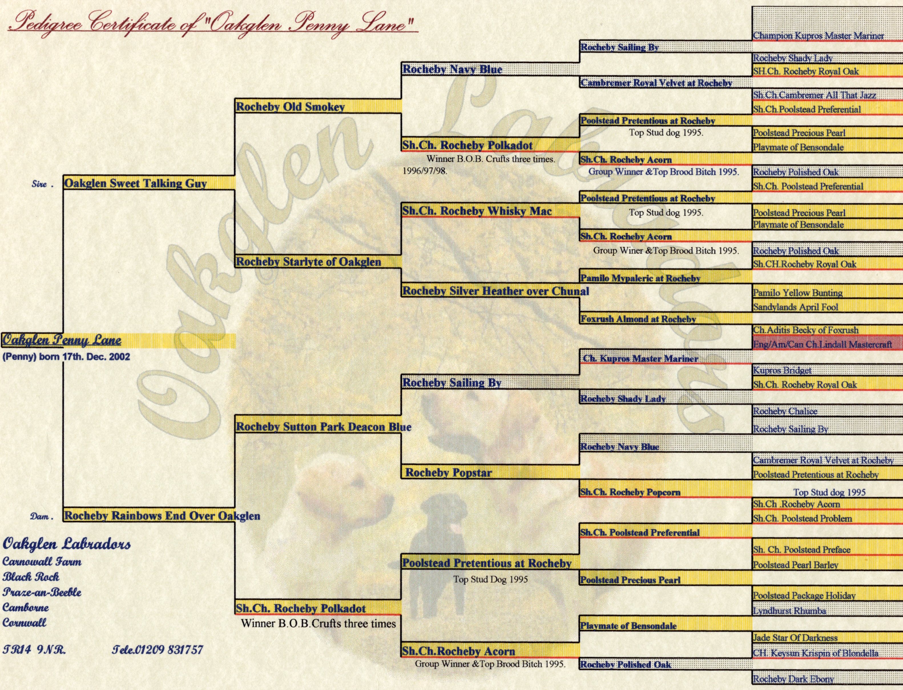 Pedigree of Labrador, Oakglen Penny Lane